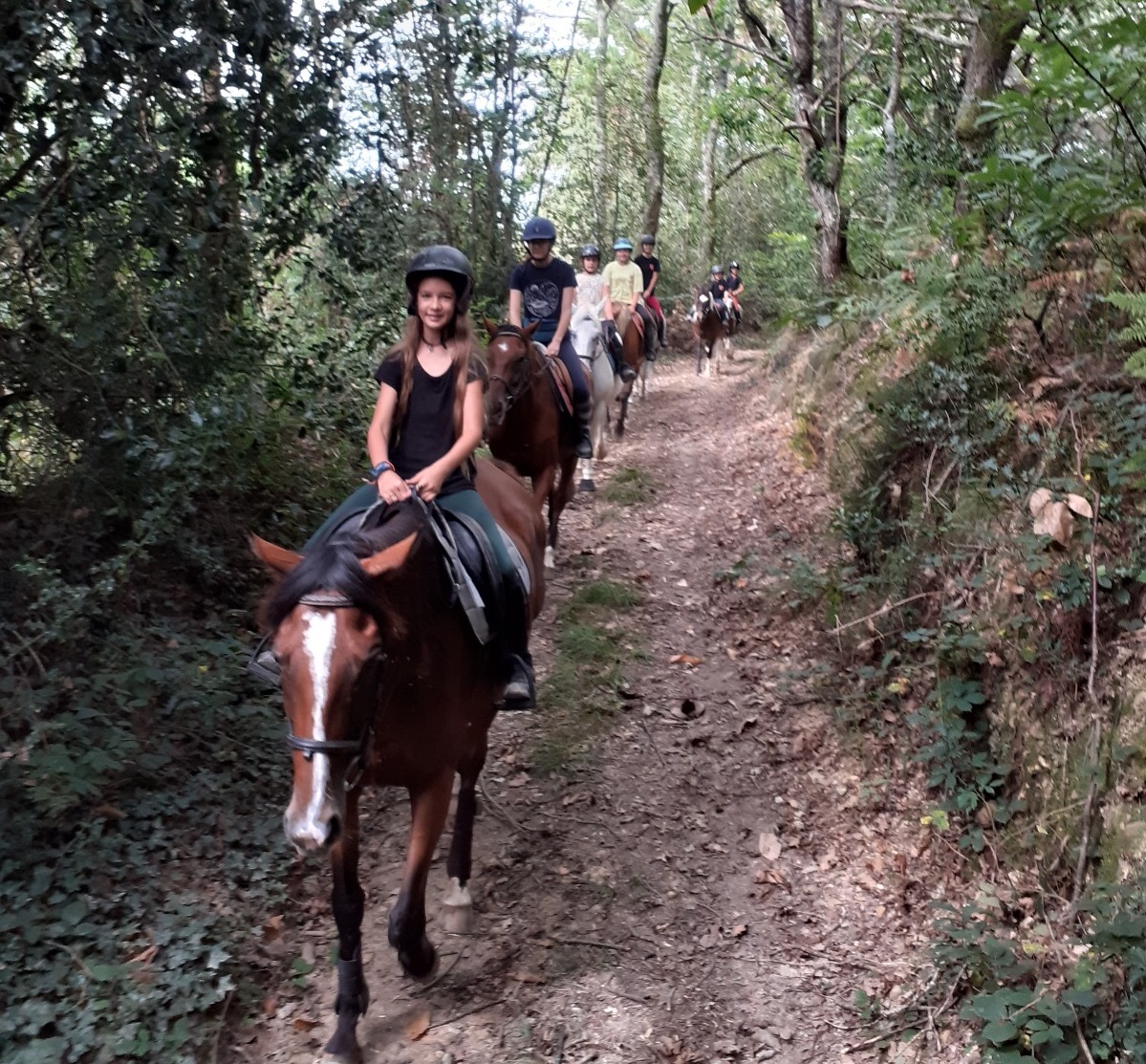 balade à cheval ou poney à Pau en Béarn