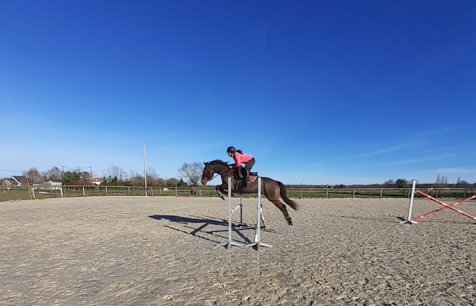 moniteur d'équitation Pau Béarn 64