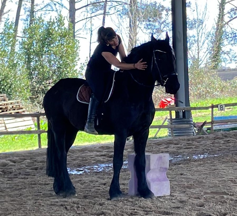 monitrice d'équitation diplômée Pau Béarn