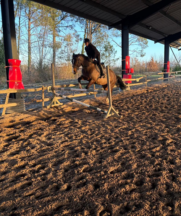 stage cheval pour adulte et enfant à Pau
